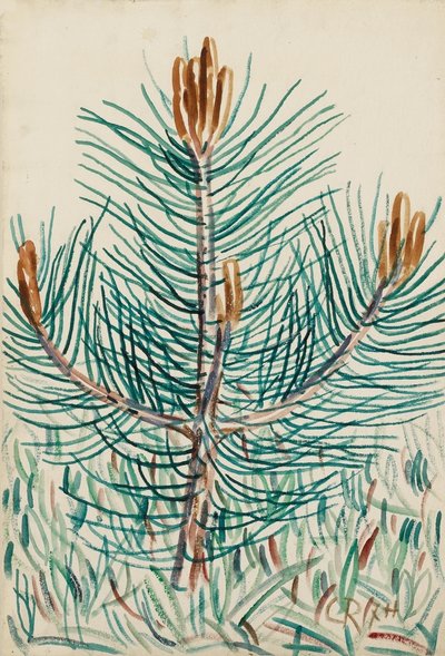 Pino joven Hetschburg de Christian Rohlfs